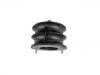 Engine Mount:4145981