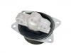 Engine Mount:50502847