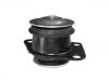 Engine Mount:51709049