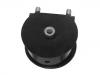 Engine Mount:71741959